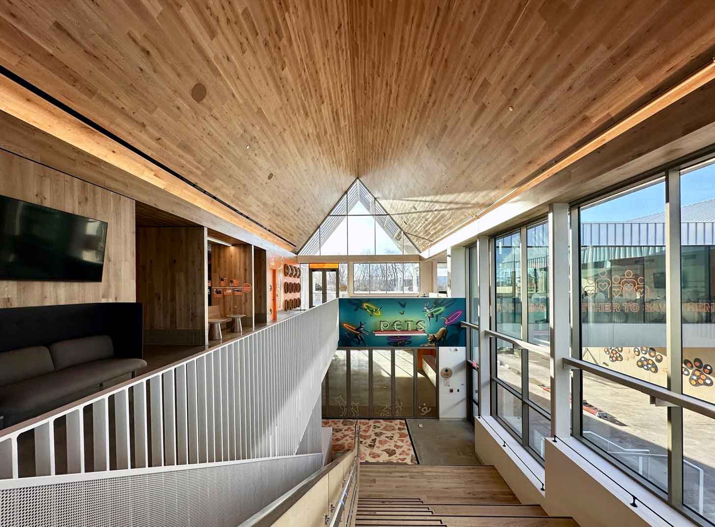 This Shelter Provides Pet Resources — Not Just Adoption